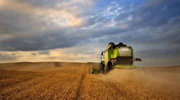 أعلى مستوى تاريخي.. أسعار القمح تقفز ببورصة يورونكست إثر طلبات السعودية والجزائر